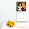 image Border Collie Puppies 2024 Wall Calendar Third Alternate Image width=&quot;1000&quot; height=&quot;1000&quot;