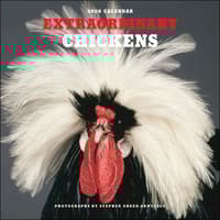 image Extraordinary Chickens 2026 Wall Calendar Main Image