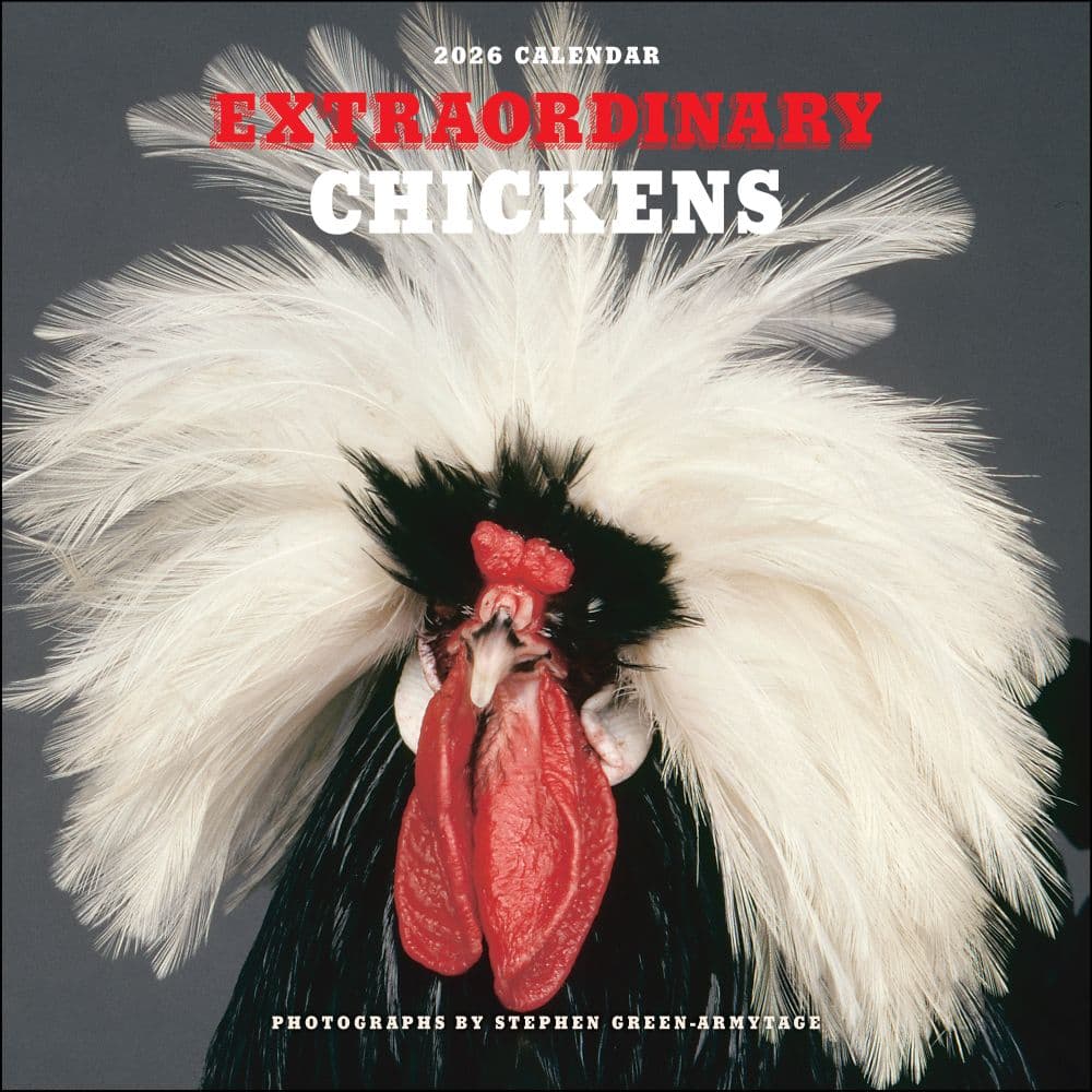Extraordinary Chickens 2026 Wall Calendar Main Image