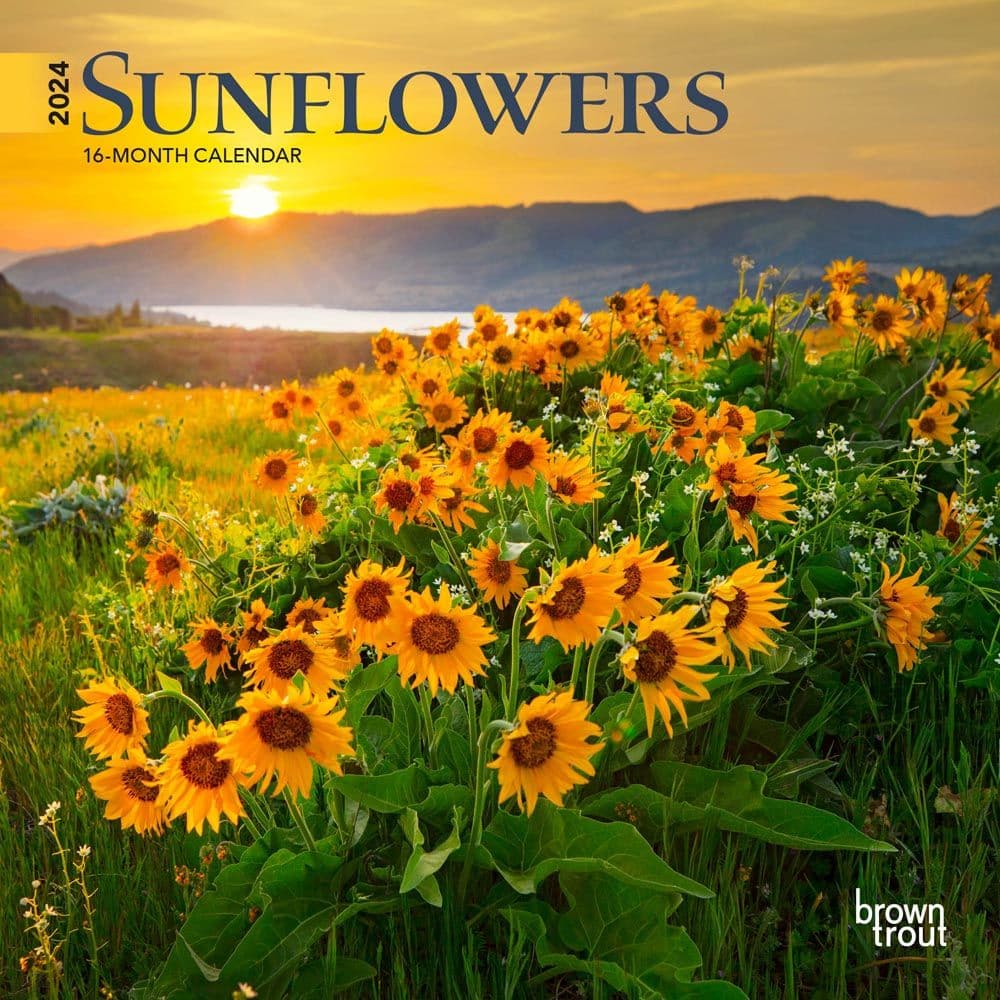 Sunflowers 2024 Mini Wall Calendar Main Image