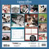 image Curious Kittens 2024 Mini Wall Calendar First Alternate Image width=&quot;1000&quot; height=&quot;1000&quot;