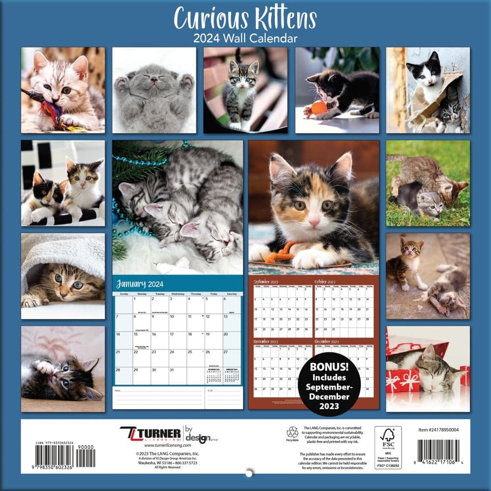 Curious Kittens 2024 Mini Wall Calendar First Alternate Image width=&quot;1000&quot; height=&quot;1000&quot;