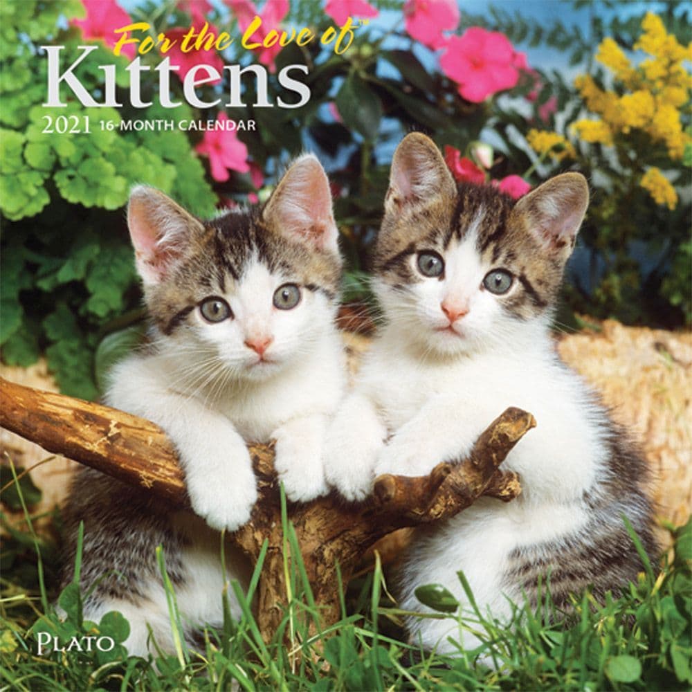 For the Love Kittens Plato Mini Wall Calendar