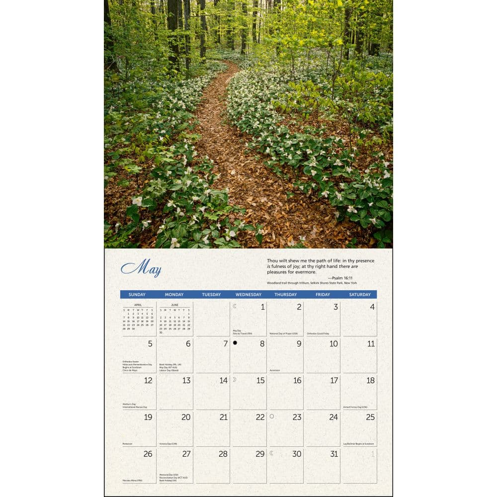 Psalms Deluxe 2024 Wall Calendar