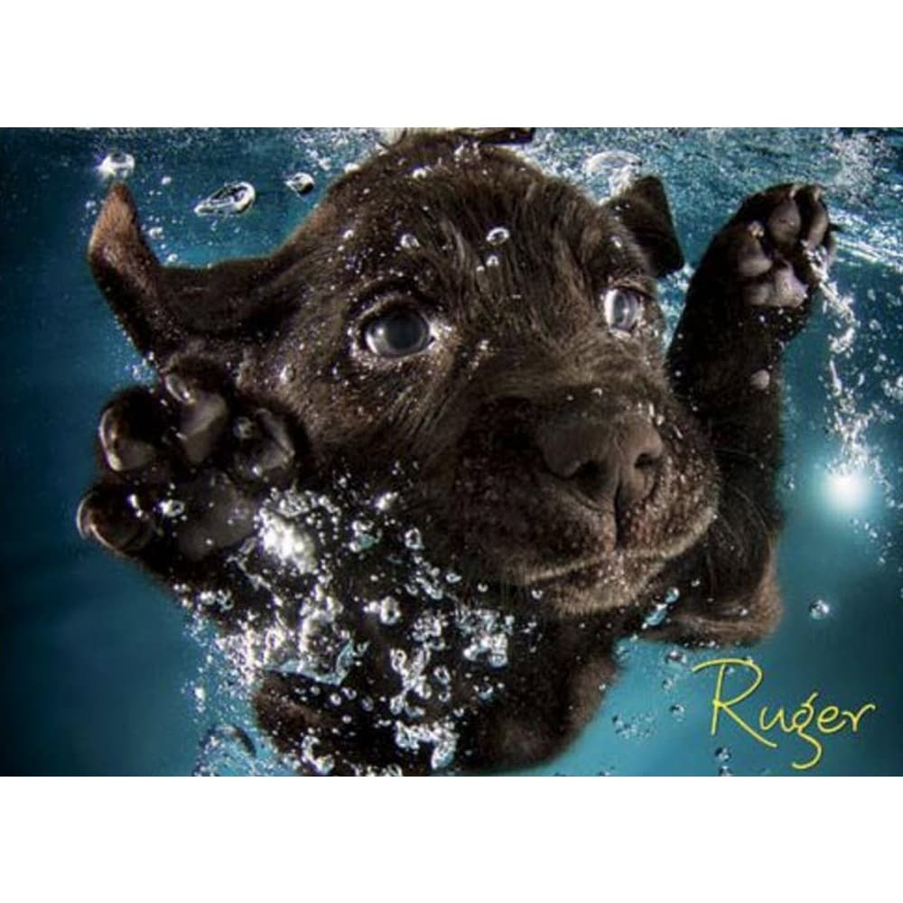 Seth Casteel Underwater Puppies 1000 Piece Puzzle