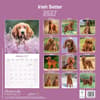 image Irish Setter 2027 Wall Calendar First Alternate Image