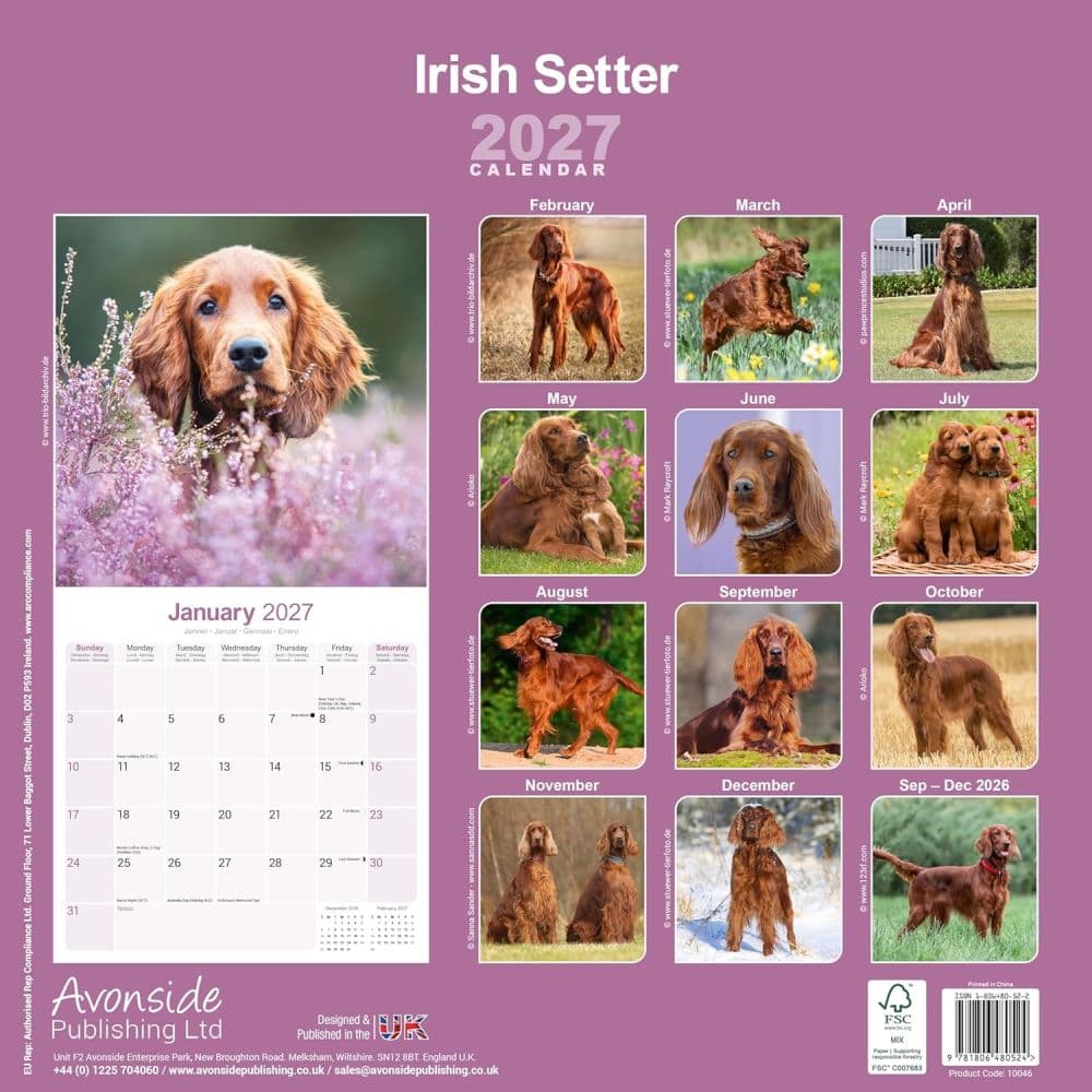 Irish Setter 2027 Wall Calendar First Alternate Image