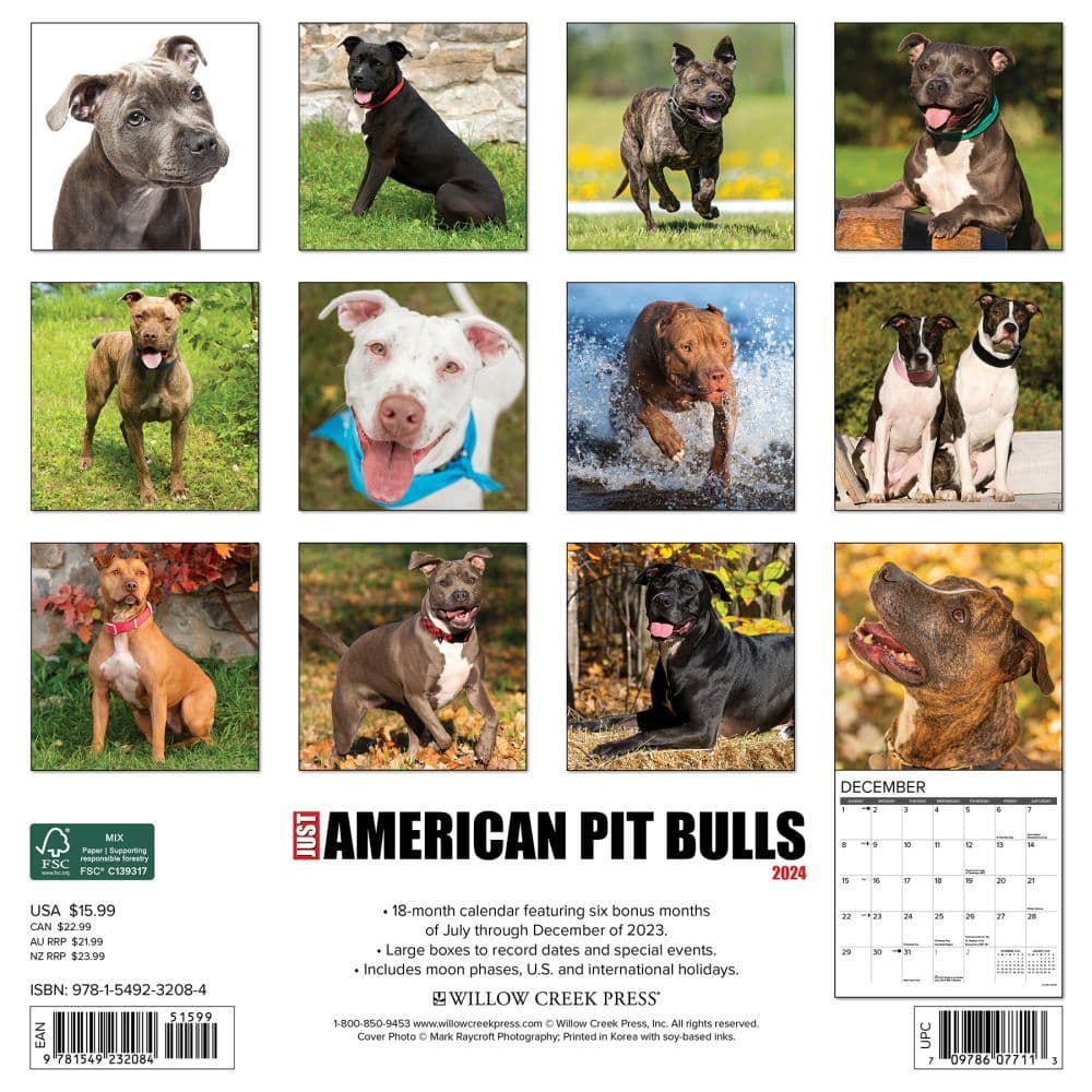 Just Pit Bulls American 2024 Wall Calendar