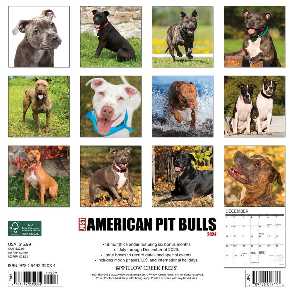Just Pit Bulls American 2025 Wall Calendar