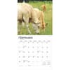 image Cows 2025 Wall Calendar