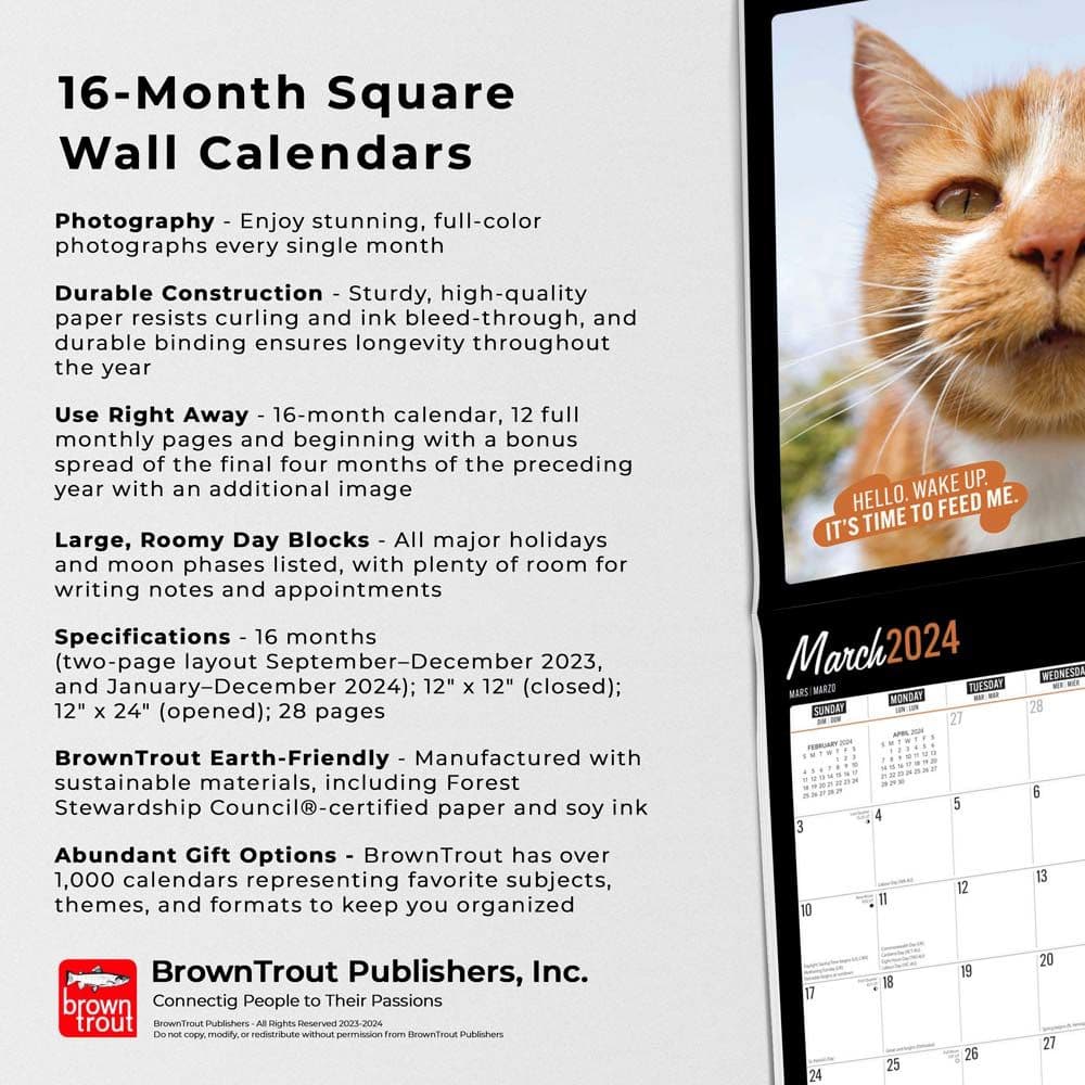 Cat Selfies 2024 Wall Calendar Fourth Alternate Image width=&quot;1000&quot; height=&quot;1000&quot;