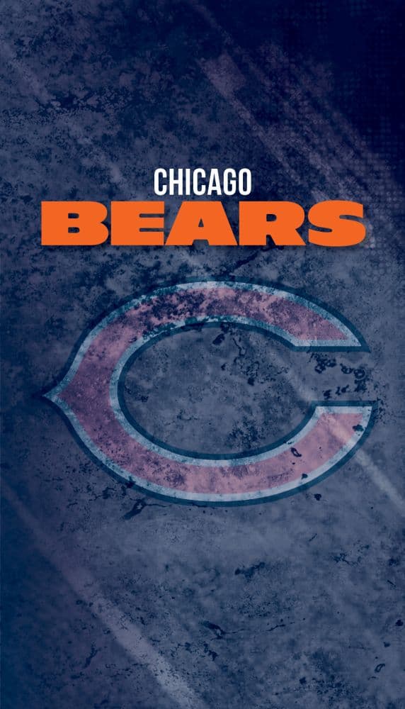 Chicago Bears Password Journal Main Image