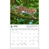 image Wild Cats WWF 2025 Wall Calendar Second Alternate Image width=&quot;1000&quot; height=&quot;1000&quot;