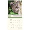 image Sloth Life 2026 Wall Calendar Third Alternate Image