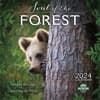 image Soul of the Forest 2024 Wall Calendar Main