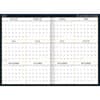 image American Cat 2027 Monthly Planner by Lowell Herrero First Alternate Image