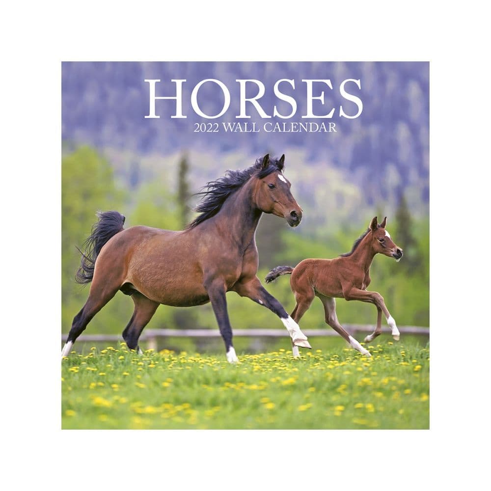 Horses 2022 Mini Wall Calendar SV