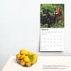 image Labrador Retrievers 2025 Wall Calendar Fourth Alternate Image width=&quot;1000&quot; height=&quot;1000&quot;