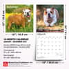 image Bulldogs 2027 Wall Calendar Sixth Alternate Image