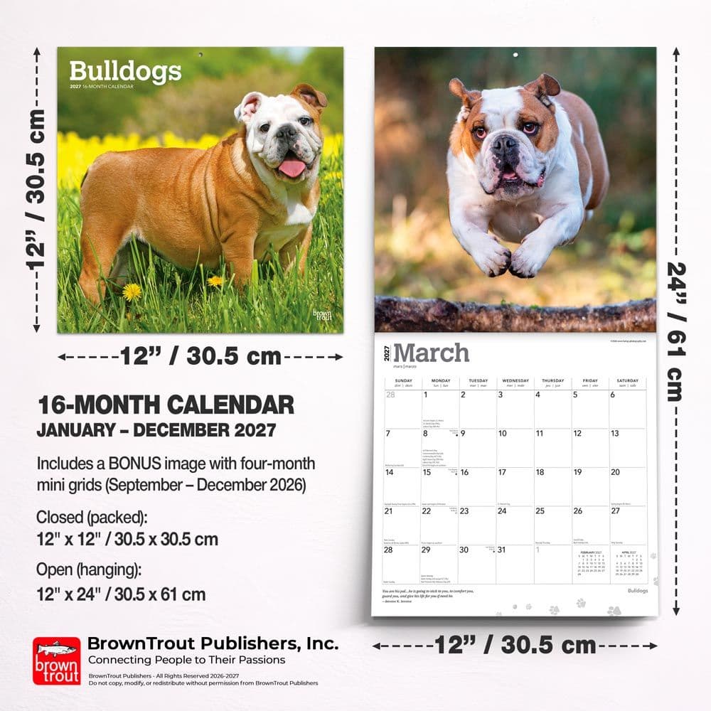 Bulldogs 2027 Wall Calendar Sixth Alternate Image