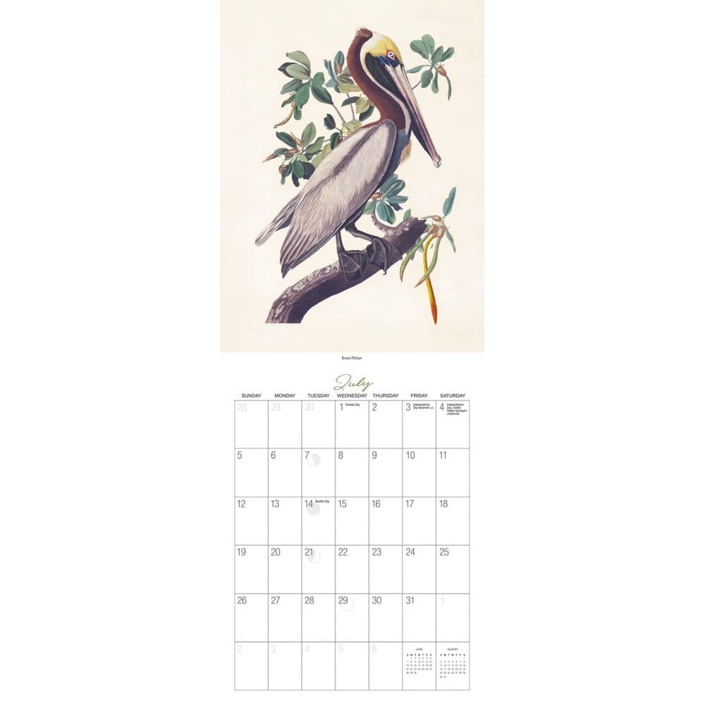 Audubon Birds of America 2026 Wall Calendar Third Alternate Image