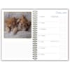 image Cat Naps Classic 2025 Planner Second Alternate  Image width=&quot;1000&quot; height=&quot;1000&quot;