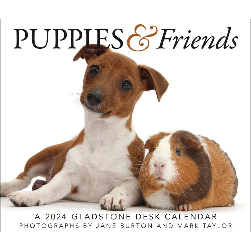 Puppies and Friends 2025 Desk Calendar