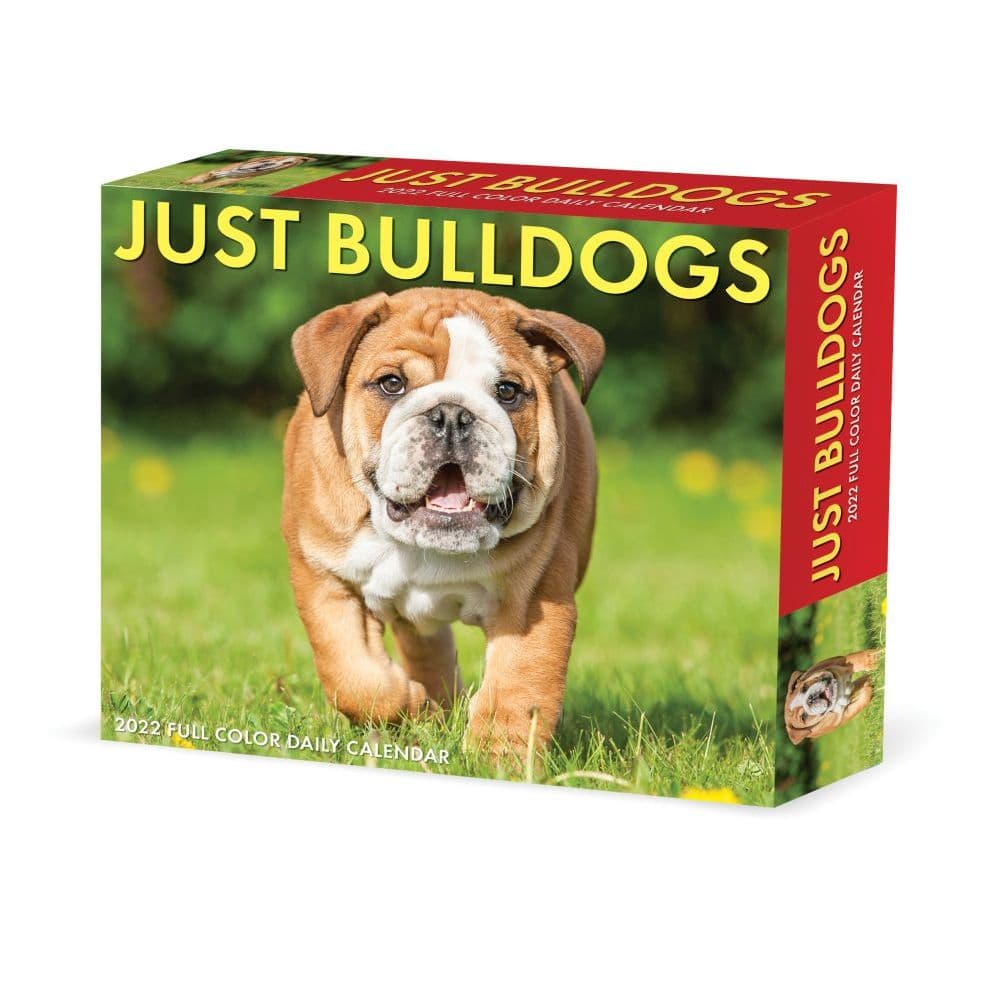 Bulldog Schedule 2022 Just Bulldogs 2022 Desk Calendar - Calendars.com