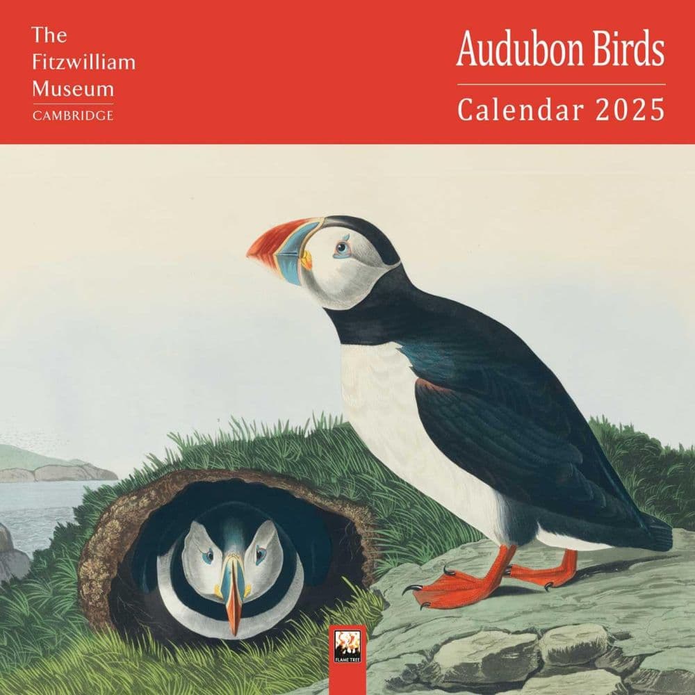 Fitzwilliam Audubon Birds 2025 Wall Calendar