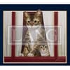 image American Cat 2024 Desktop Wallpaper