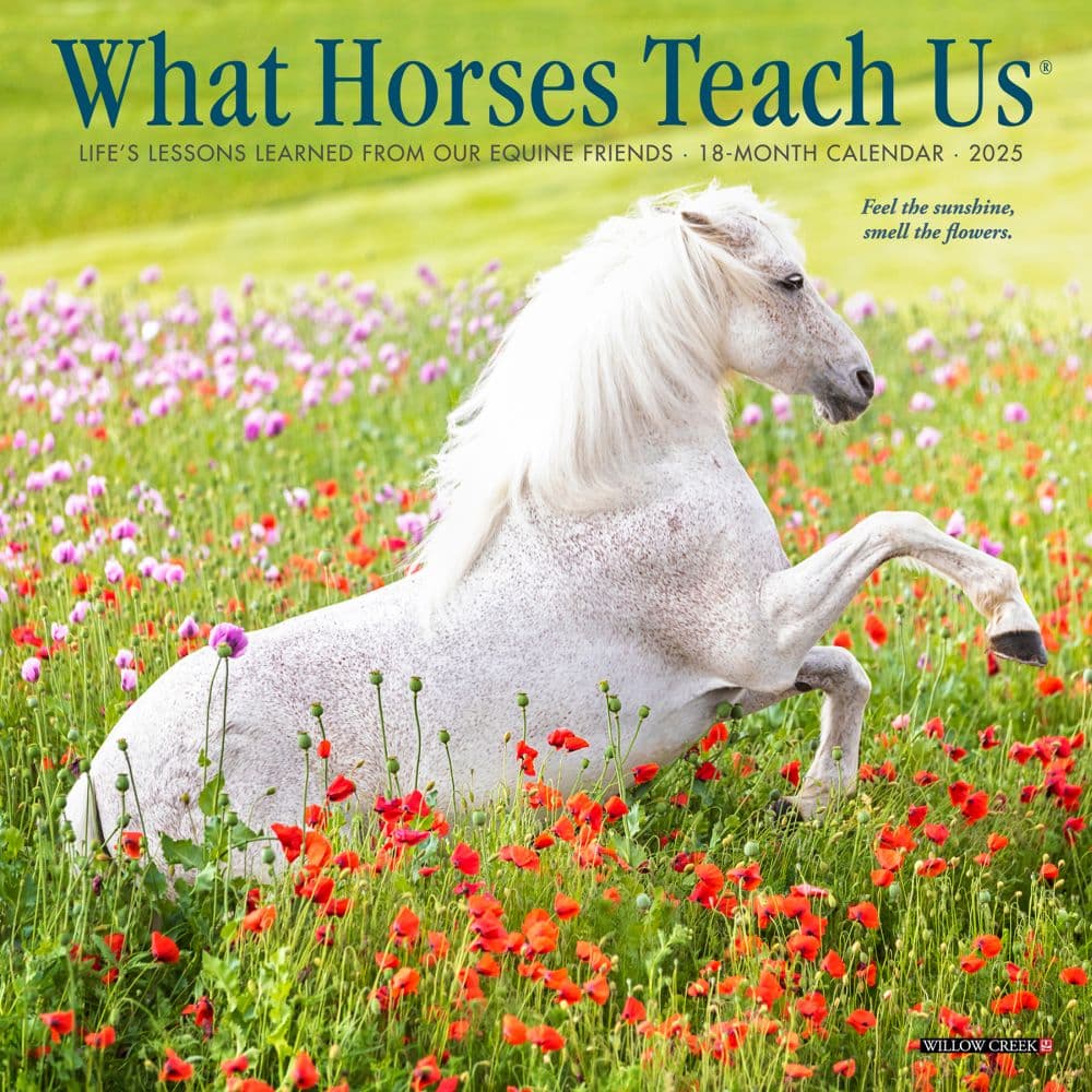 What Horses Teach Us 2025 Mini Wall Calendar Main Image