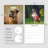 image Boxers 2027 Wall Calendar Third Alternate Image