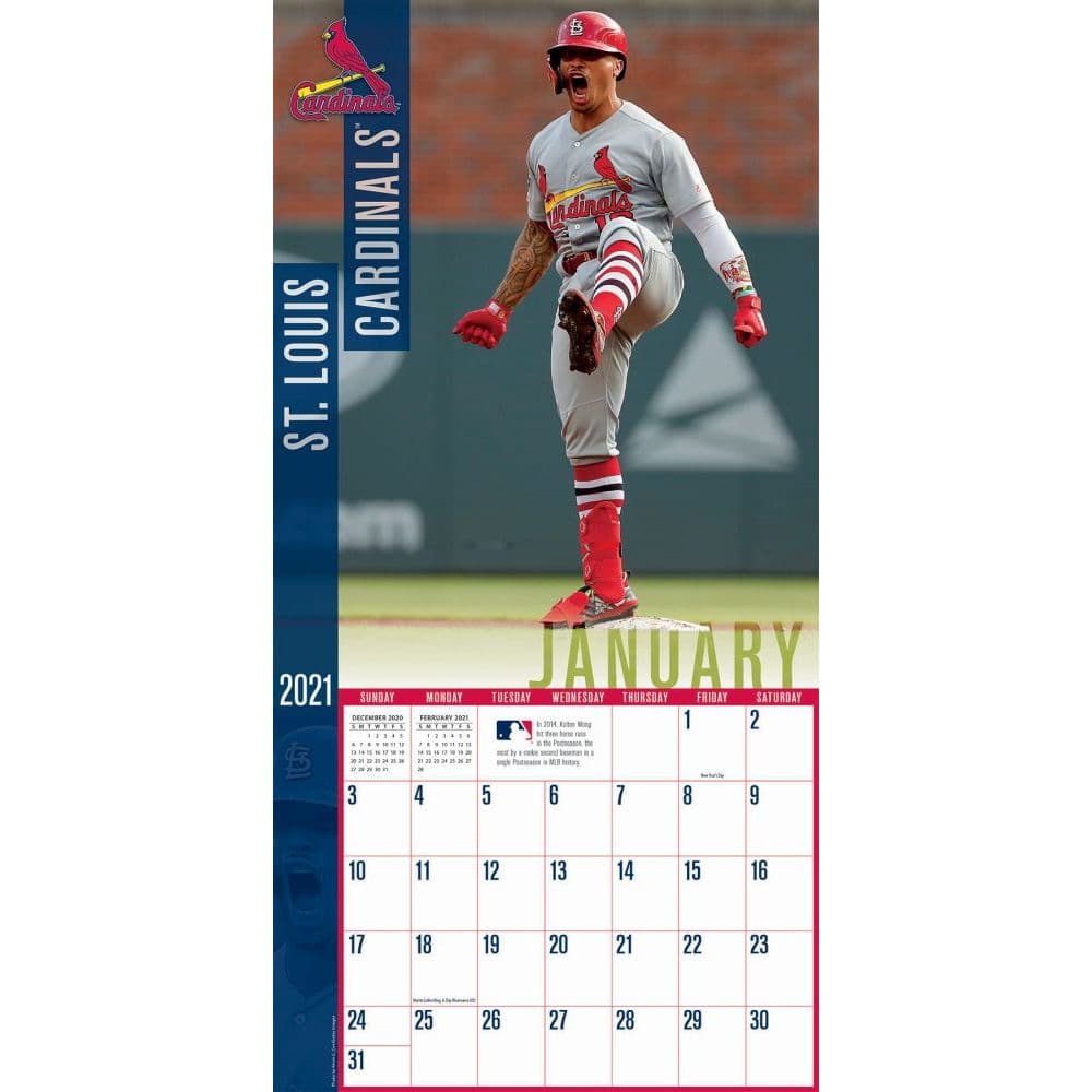 St Louis Cardinals 2024 Wall Calendar Freddy Ethelyn