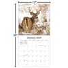 image White Tailed Deer 2026 Wall Calendar_ALT5