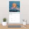 image Ocean Life 2025 Wall Calendar Fourth Alternate Image width=&quot;1000&quot; height=&quot;1000&quot;