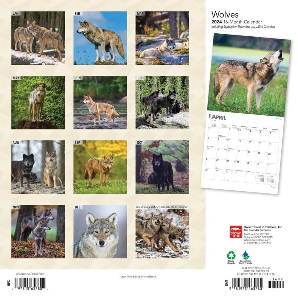 Wolves 2024 Wall Calendar