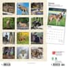 image Wolves 2024 Wall Calendar First Alternate Image width=&quot;1000&quot; height=&quot;1000&quot;