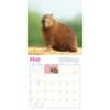 image Capybara 2027 Wall Calendar Third Alternate Image