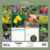 image Butterflies Photo 2027 Wall Calendar