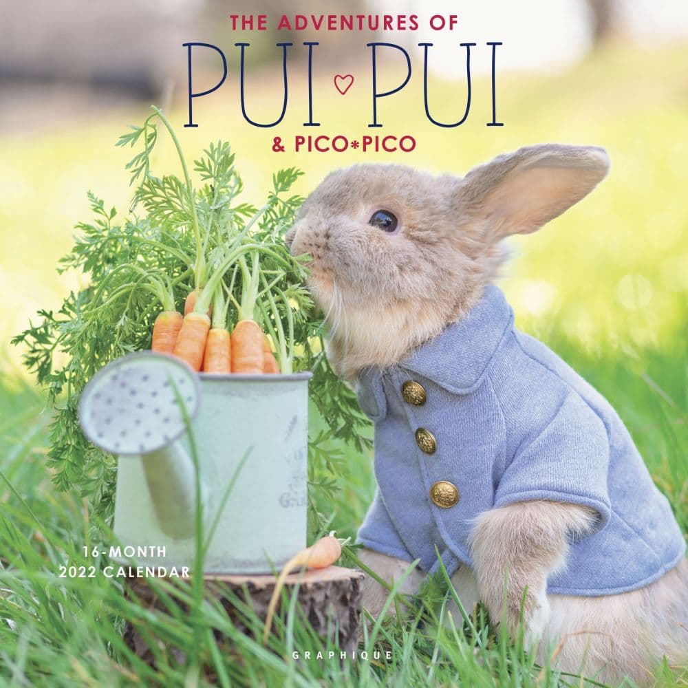 Adventures of Pui Pui the Bunny 2022 Wall Calendar