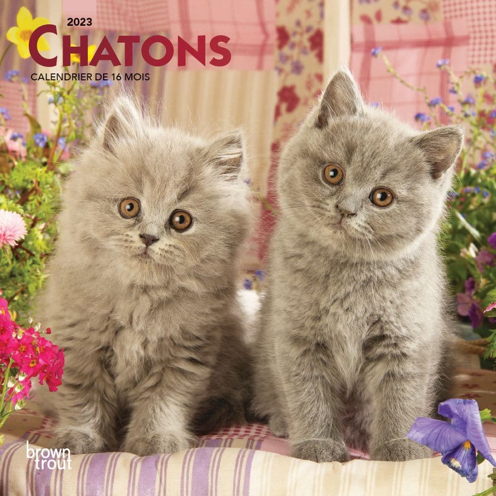 BrownTrout Chatons Kittens 2023 Mini Wall Calendar