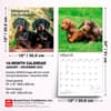 image Miniature Dachshunds 2027 Wall Calendar Sixth Alternate Image