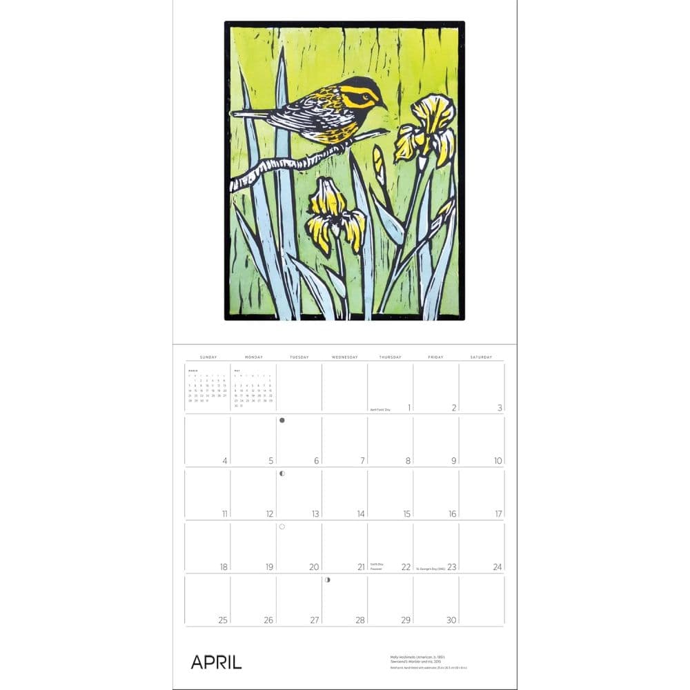 Birds 2027 Wall Calendar by Molly Hashimoto Fifth Alternate
Image