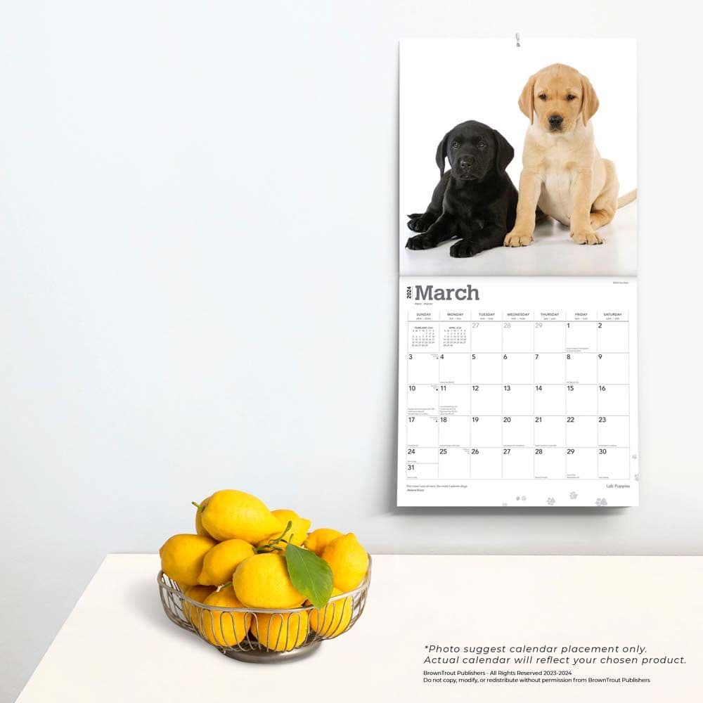 Lab Retriever Puppies  2024 Wall Calendar Alternate Image 3