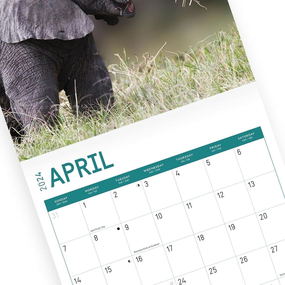 Baby Elephants 2024 Wall Calendar Third Alternate Image width=&quot;1000&quot; height=&quot;1000&quot;