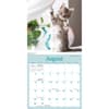 image Curious Kittens 2026 Mini Wall Calendar Fourth Alternate Image
