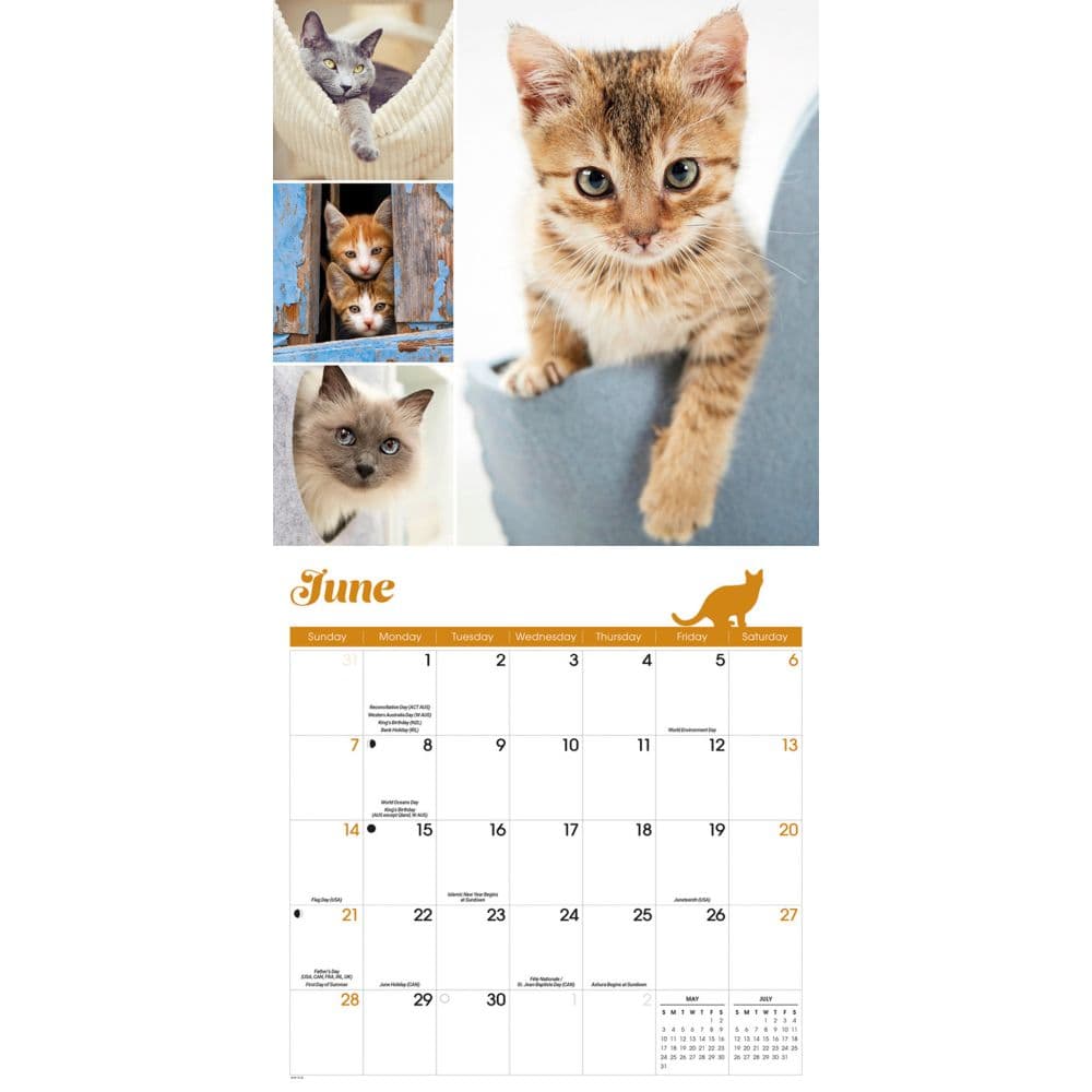 Cat Lovers 2026 Wall Calendar Third Alternate Image