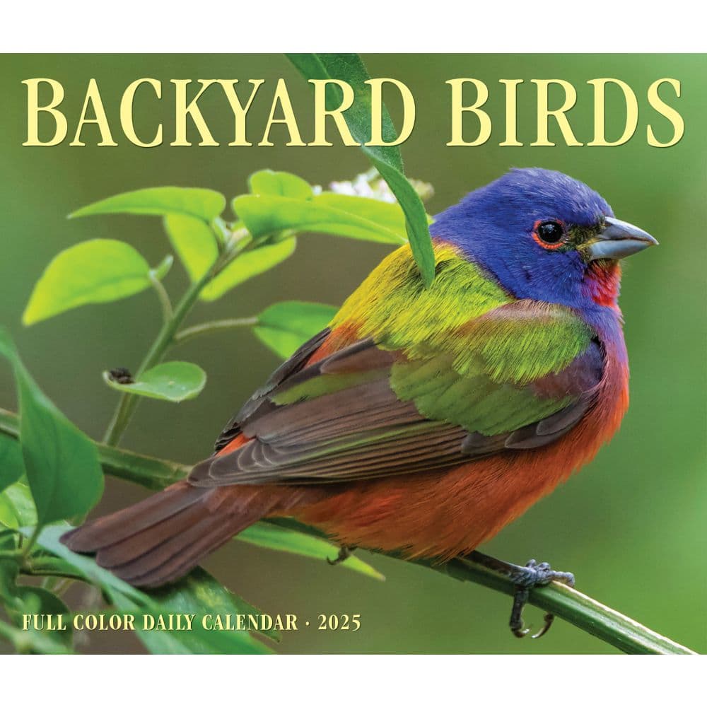 Backyard Birds 2025 Desk Calendar