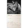 image Horses Spirit 2026 Wall Calendar Second Alternate Image