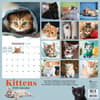 image Kittens 2026 Wall Calendar First Alternate Image
